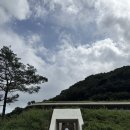솔담 | 충북 옥천 카페 추천| 옥천 신상 시골책방, 북카페 ‘솔담도랑’ 후기