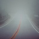 새벽목장 이미지