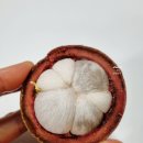 남양청과 | 남양 더월드청과 착한과일 공구 후기