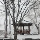 별동산달빛아래 이미지