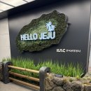 3월 제주도 2주년 기념 | 서쪽 맛집 가볼만한 곳과 무조건 가야하는 고등어회 포장! 제주 총비용 정리