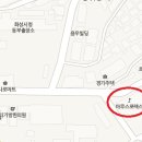 마루스포렉스 이미지