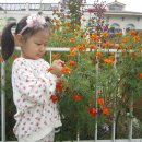 어린이집 정원에서 꽃들과 함께 사진 찰칵! 이미지