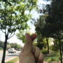 (주)가디아나 | 로우나의 4,5,6월 일상