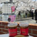 연화카페 | 김천 연화지 카페 연화 | 벚꽃뷰 미쳤다 실시간 후기