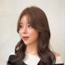 브라운디자인 이미지