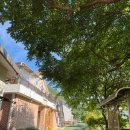 퍼니멍멍 이미지