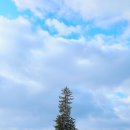 도덕중앙경로식당 | 북해도 삿포로 여행☃️비에이 투어 후기