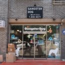 갱스터 도그 이미지