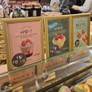 작은산 | [대전]성심당 본점,케익부띠끄 방문기✨️ 성심당 오픈런/성심당에서 산 빵,생귤롤 후기