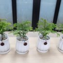 해보 작은도서관 이미지