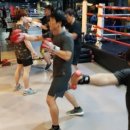 칠곡MS복싱 이미지