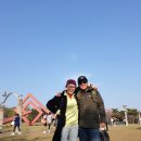 마라톤 풀코스 구경 후기_ 2024 대구마라톤_구경하기_ 참관 후기_관광 모드_[2024.4.7.일]_벚꽃 러닝
