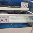 돔수산활어상차림 이미지