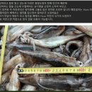 집밥요리와 캠핑요리(주말) 이미지