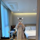 퀼트와 힐링타임 | 포천공공산후조리원 (입실/시설소개/마사지/모유수유/바베큐/준비물)