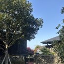 돌랑채 | 제주 애월 감성숙소 추천 야외 자쿠지가 있는 돌랑채