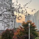 황금부동산서희앤더샵공인중개사사무소 이미지