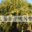 목향마트 이미지