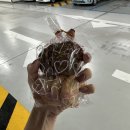 손쉬운 혼밥요리 이미지