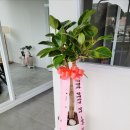 회원동농협 이미지