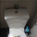 버드나루로 이미지