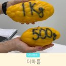 수원-1590 | 더마름 다이어트 수원영통점 누워서 편하게 살 빼는 찐 후기