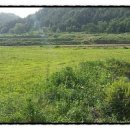 해전농장 이미지