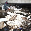 입암1리마을회관 이미지