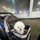 오리박사농원 이미지