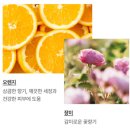 러쉬(LUSH) 해피해피조이조이 재구매 후기✨하루종일 향기롭다💛