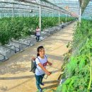 창건농장2 이미지