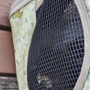 샘터동물병원 이미지