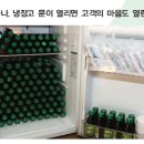 오토종합상사