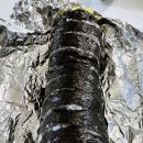 생생김밥 - 포항시 북구 법원로 109 | 생생김밥