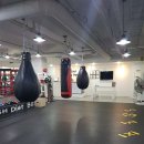 SH 다이어트 복싱 이미지