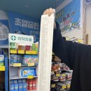 숲속의 정원 | 가평 숲속의정원 글램핑 우중 캠핑 후기 가평 글램핑 카라반 펜션 추천