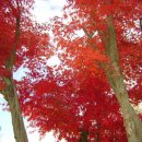 죽향민박 이미지