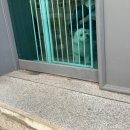 평택 애견미용 살롱 드 쭈 이미지