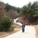 자사연, 영남옛길답사, 울진 왕피천(경북도, 경북자연사랑연합, 자사연울진지회 주관 60명, 2013. 3. 16.)(2) 이미지