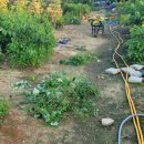 뽑기좋은날 이미지