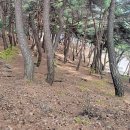 스테이 지천 이미지