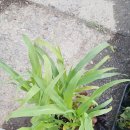 홍양농장 이미지