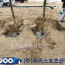 관양중학교 이미지