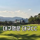 위니아서비스동대구점 | 대구명문구장 대구CC 2부 라운딩 후기- 동&gt;중코스