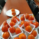 김경수농장 이미지