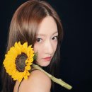 서월 네이버블로그