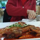 황금코다리 이미지