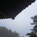 만도플라자 | 달맞이길 추리문학관에서 와인클래스까지 문화힐링투어 B코스 후기