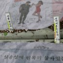 썸머씨